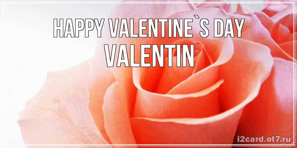 Greetings card с именем, Valentin Happy Valentine`s Day открытка на день Святого Валентина с розовой розой Greetings with text for free download 